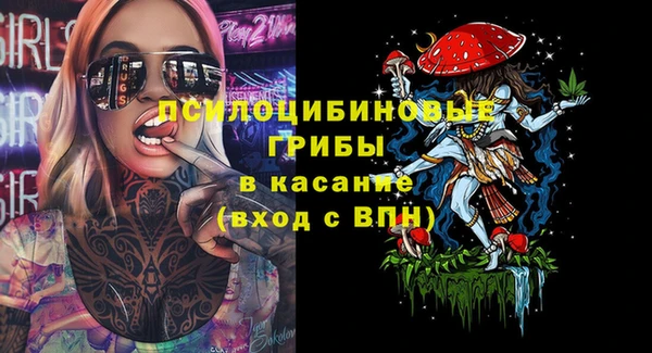 твердый Верея