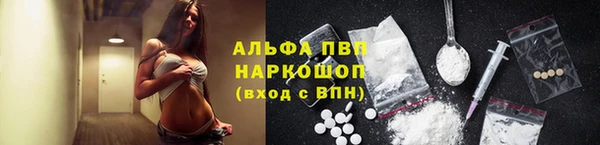 шишки Верхний Тагил