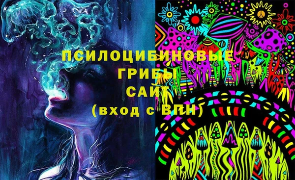 шишки Верхний Тагил
