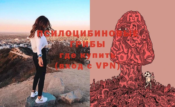 твердый Верея