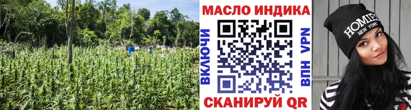 где продают наркотики  hydra tor  Дистиллят ТГК гашишное масло  Оренбург 