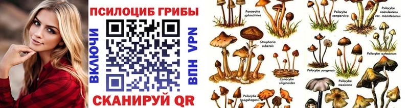 Галлюциногенные грибы Cubensis Оренбург