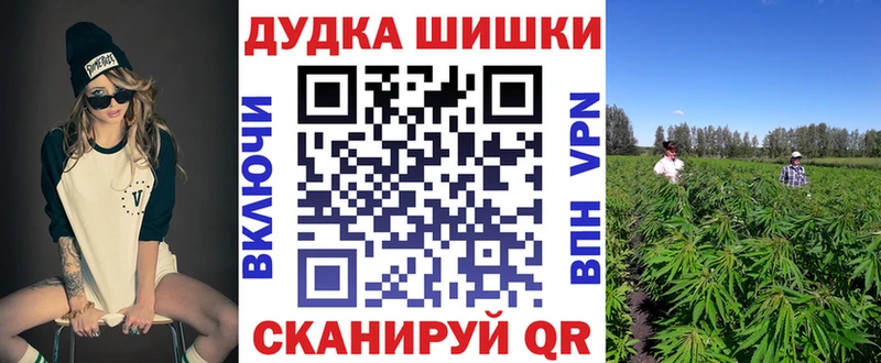 где купить наркоту  Оренбург  Бошки марихуана Ganja 